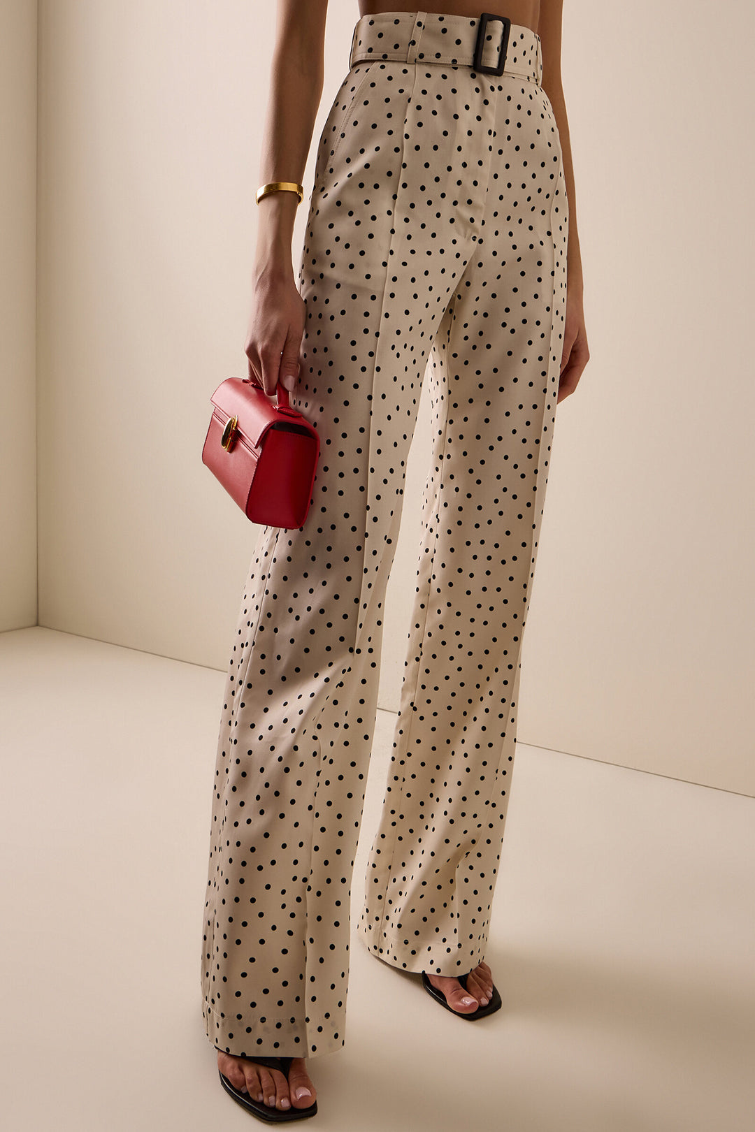 Polka Dots Print Belted Wide Leg Pants
